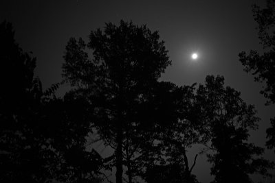 Moonlit Night Hike
