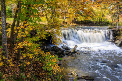Waterfall Surrounded by Fall