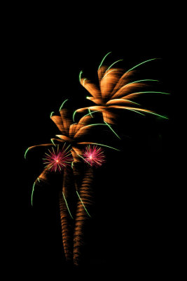August 2018 - Palm Tree Fireworks by Terri Morris