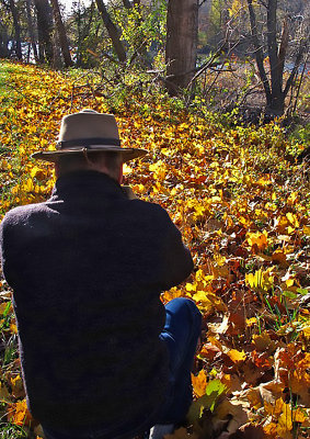 W-photographing-Backlit-Leaves-on-Ground