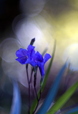 1024DSC00347.jpg