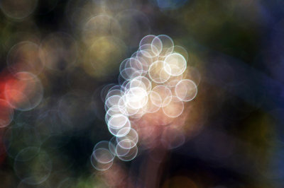1280DSC08610.jpg