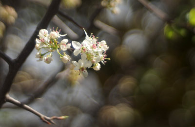 1024DSC03579.jpg
