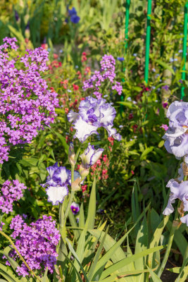 Flower Gardens at Claude Monet residence - Giverny
