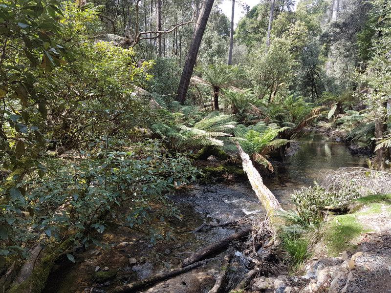 20181008_123429.jpg