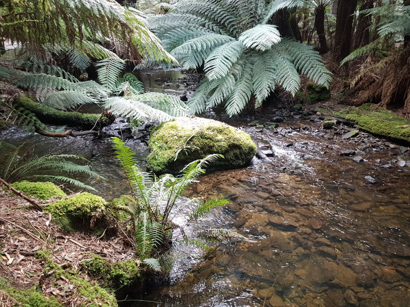 20181008_124731.jpg