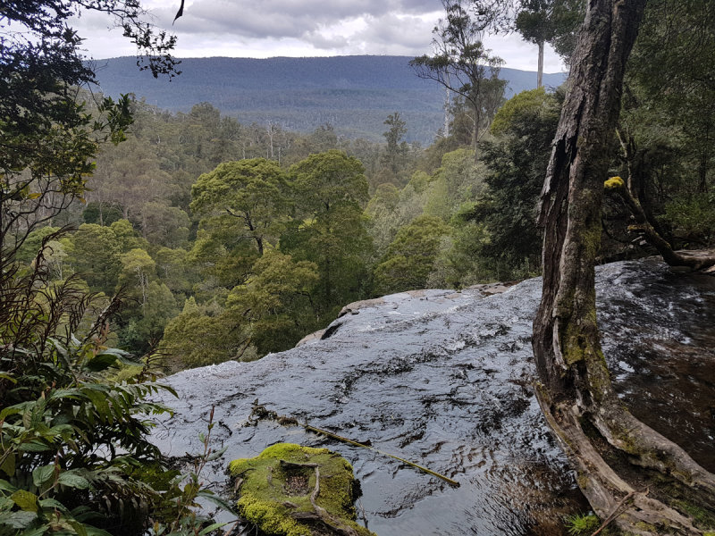 20181008_130433.jpg