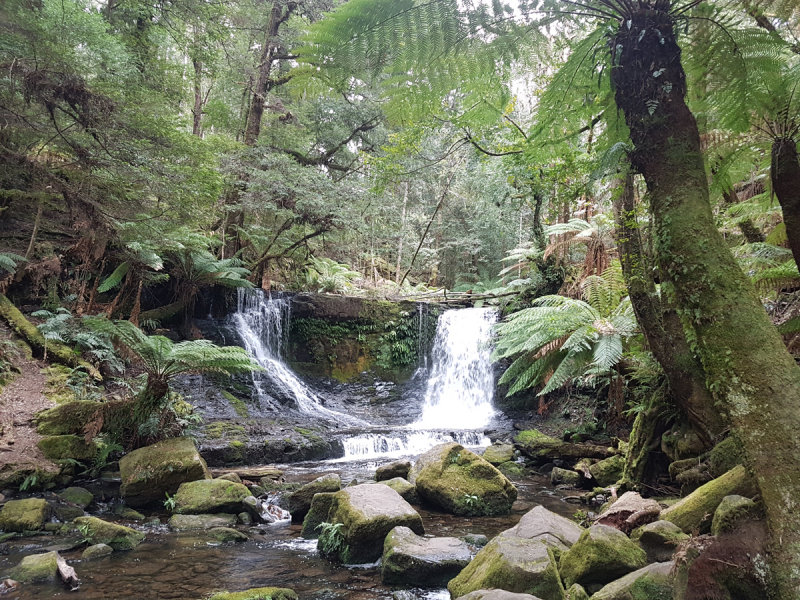 20181008_130634.jpg