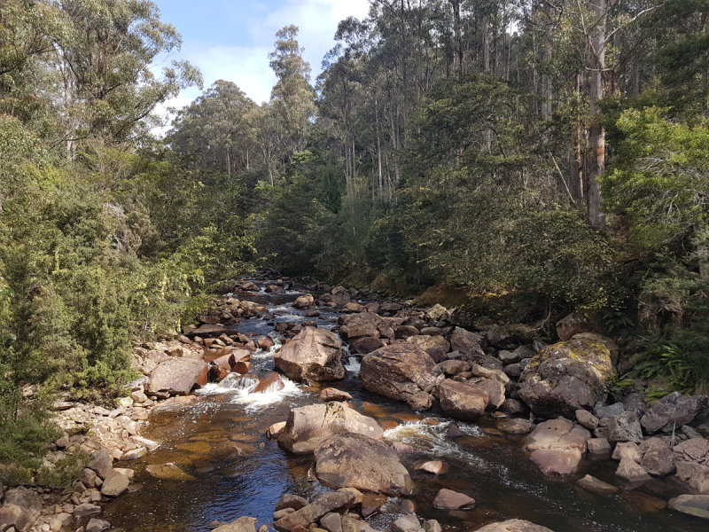 20181010_104650.jpg