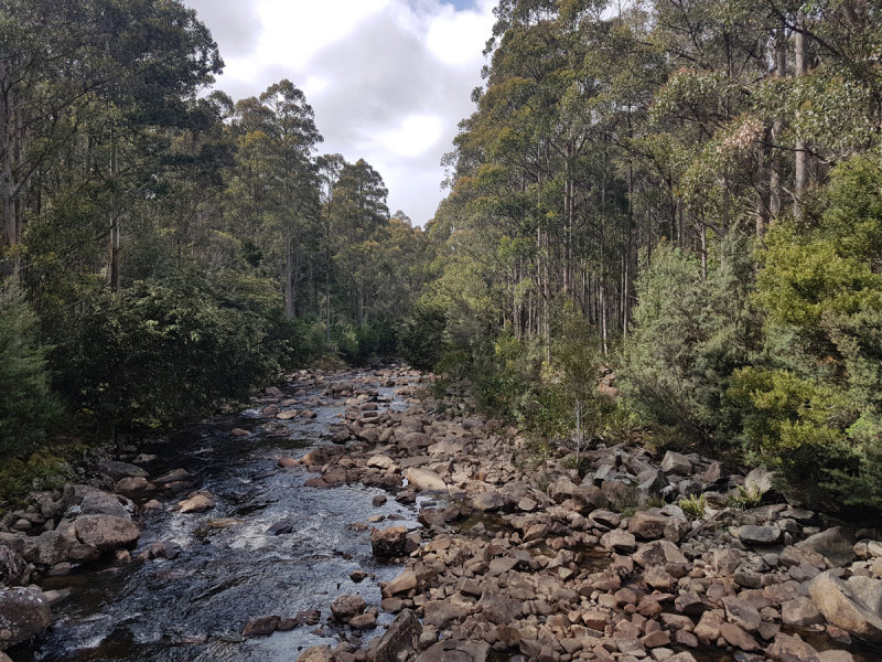 20181010_104708.jpg