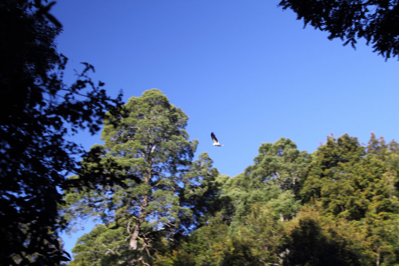 20181012_170606.JPG