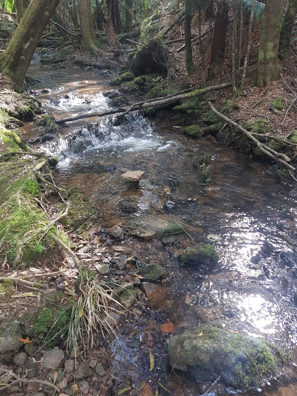 20181013_154145.jpg