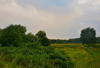 City Parks