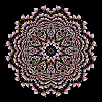 Evolved kaleidoscope created from the logarithmic spira