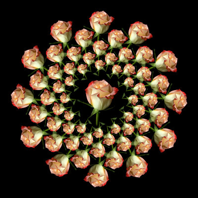 Kaleidoscopic arrangement with a rose