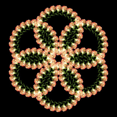 Kaleidoscopic arrangement with a rose