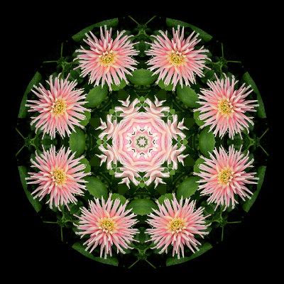 Kaleidoscopic picture created with a dahlia