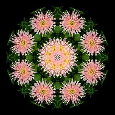 Kaleidoscopic picture created with a dahlia