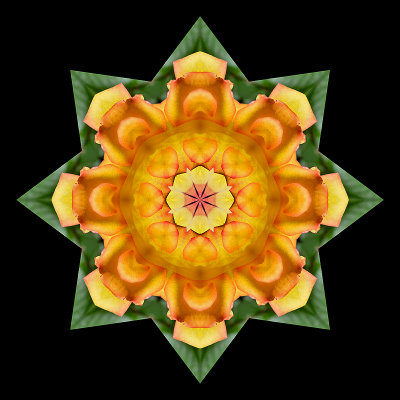 Kaleidoscopic creation with a rose