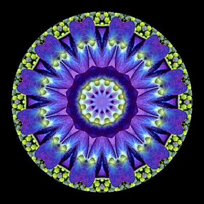 g10/54/24354/3/167679715.HJn91N9j.jpg
