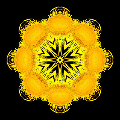 Kaleidoscopic creation done with a yellow flower seen in a parc in June