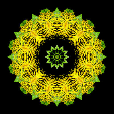 Kaleidoscopic creation done with a yellow flower seen in a parc in June