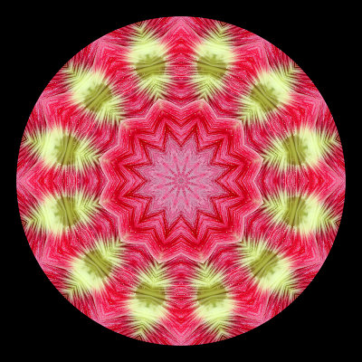 Kaleidoscope created with a flower seen in a garden of my village