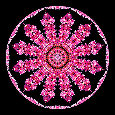 Kaleidoscopic creation done with a flower seen in a parc in June