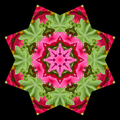 Kaleidoscopic creation done with a flower seen in a parc in Zurich