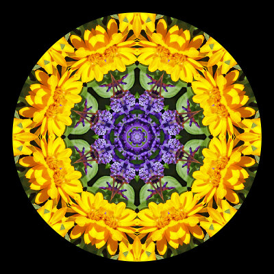 Kaleidoscope created with flowers seen in a parc in Zurich