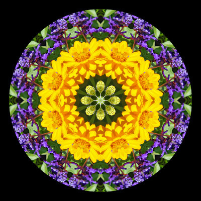 Kaleidoscope created with flowers seen in a parc in Zurich