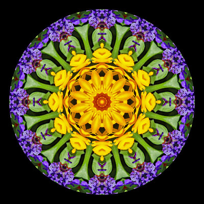 Kaleidoscope created with flowers seen in a parc in Zurich