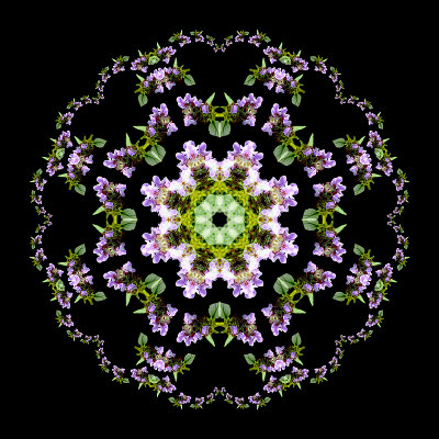 Kaleidoscope created in September 2015