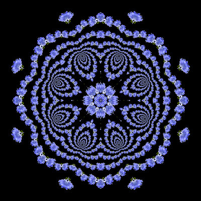 Evolved kaleidoscope created with the logarithmic spiral
