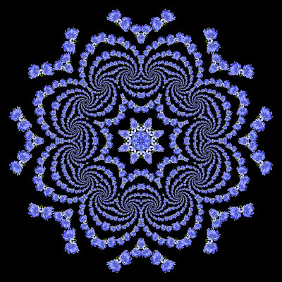 Evolved kaleidoscope created with the logarithmic spira