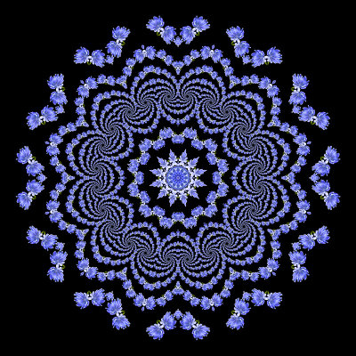 Evolved kaleidoscope created with the logarithmic spira