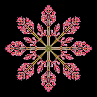 Kaleidoscopic creation done with a small red wild flower seen in a mountain valley