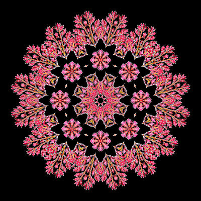 Evolved kaleidoscope created out of the first red kaleido after the series of blue kaleidos