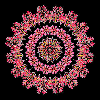 Evolved kaleidoscope created out of the first red kaleido after the series of blue kaleidos