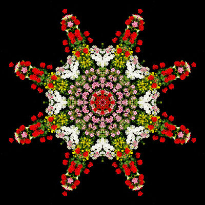 Garden Kaleidoscope created with a picture of a flower box at a window