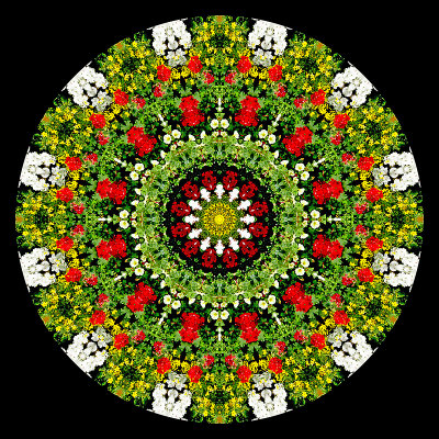 Garden Kaleidoscope created with a picture of a flower box at a window