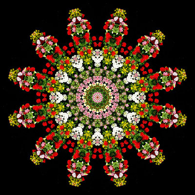 Garden Kaleidoscope created with a picture of a flower box at a window