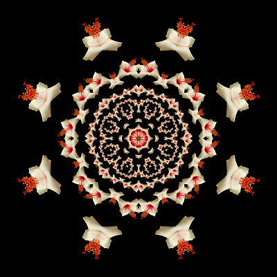 Evolved kaleidoscopic creation out of a spiral kaleidoscope