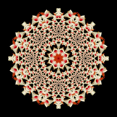 Evolved kaleidoscopic creation out of a spiral kaleidoscope