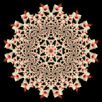 Evolved kaleidoscopic creation out of a spiral kaleidoscope