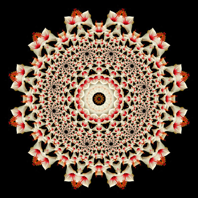 Evolved kaleidoscopic creation out of a spiral kaleidoscope