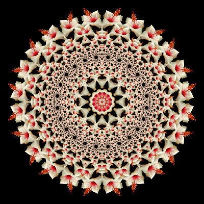 Evolved kaleidoscopic creation out of a spiral kaleidoscope