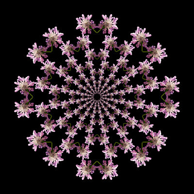 With the twin element I arranged eight in each circle - twelve circles toward the center = 192 flowers