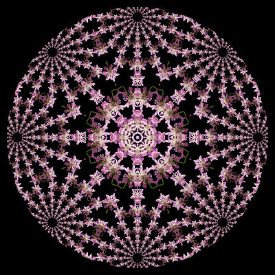 This shows the details of the center part or the previous kaleidoscope