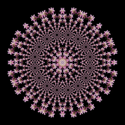 Another way to create an evolved kaleidoscope